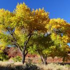 USA 2018 - Herbst im Rocky Mountain Nationalpark (2)