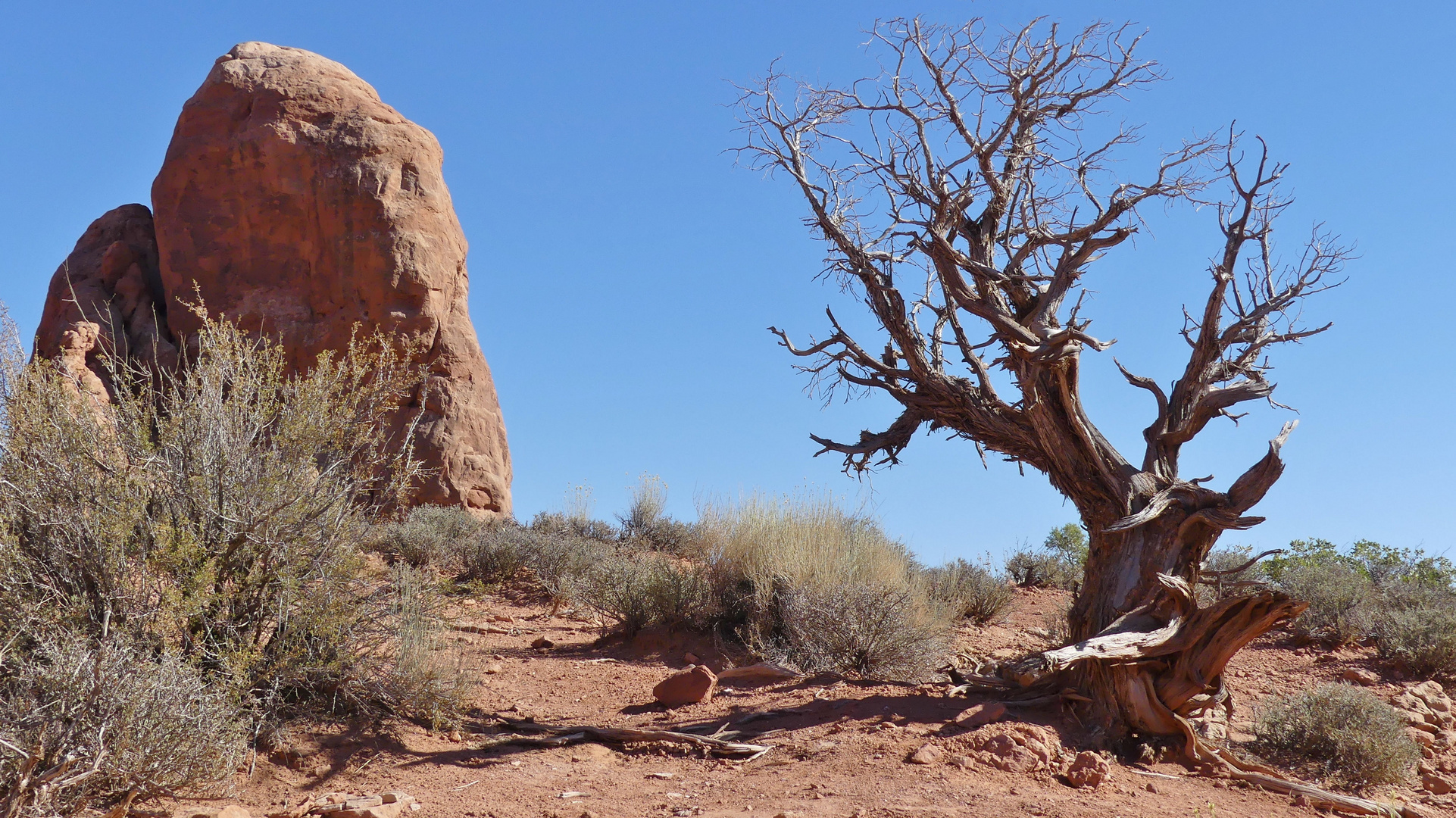 USA 2018 - Monument Valley (5) - Die Trockenheit hinterläßt Spuren