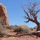 USA 2018 - Monument Valley (5) - Die Trockenheit hinterläßt Spuren