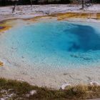 USA 2018 - Yellowstone Nationalpark (4)