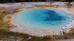 USA 2018 - Yellowstone Nationalpark (4)