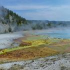 USA 2018 - Yellowstone NP (8)