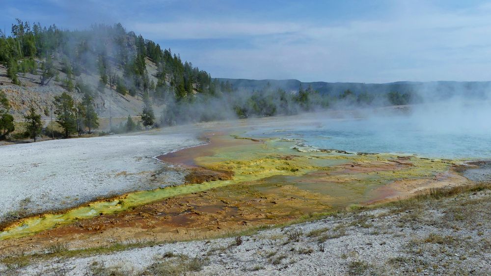 USA 2018 - Yellowstone NP (8)