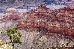 USA 4 - Grand Canyon