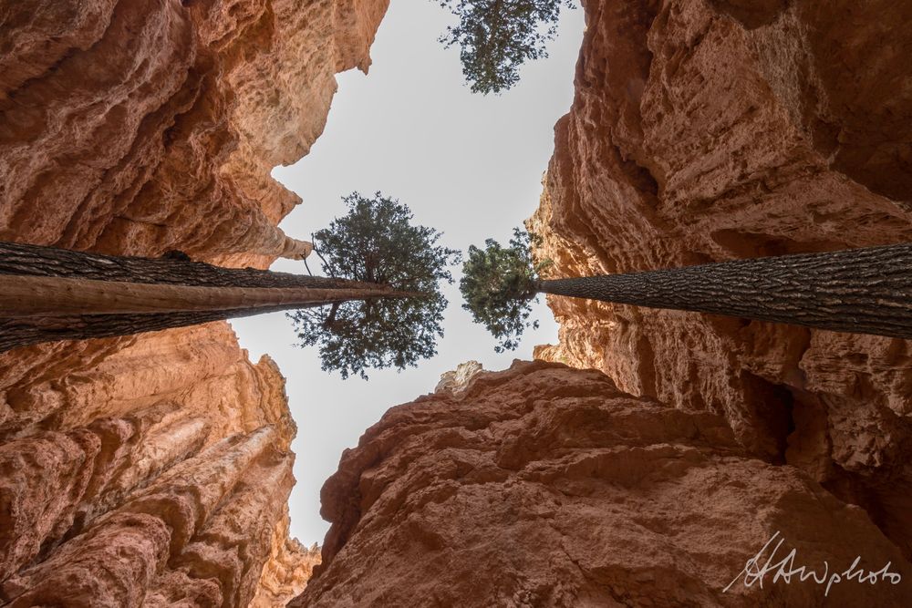 USA 6 - Bryce Canyon