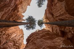 USA 6 - Bryce Canyon