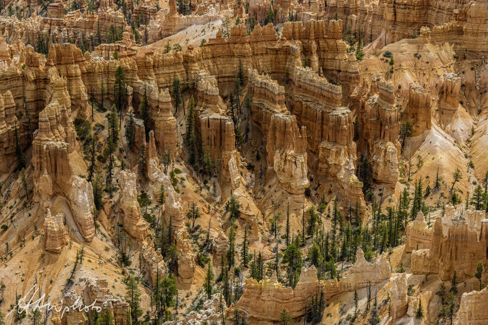 USA 7 - Bryce Canyon