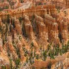 USA 7 - Bryce Canyon