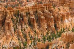 USA 7 - Bryce Canyon