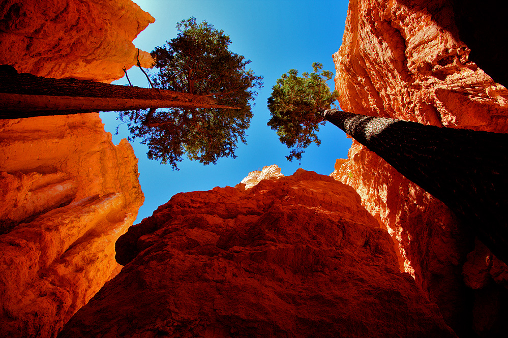 USA Bryce Canyon National Park