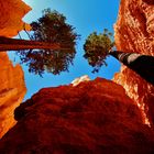 USA Bryce Canyon National Park