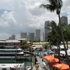 USA-Florida: Blick von der Bayside auf Miami- Downtown.