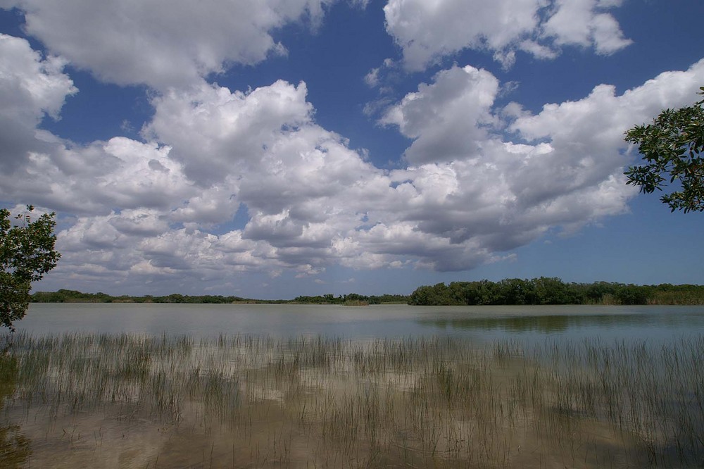 USA; Florida; Everglades