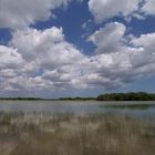 USA; Florida; Everglades