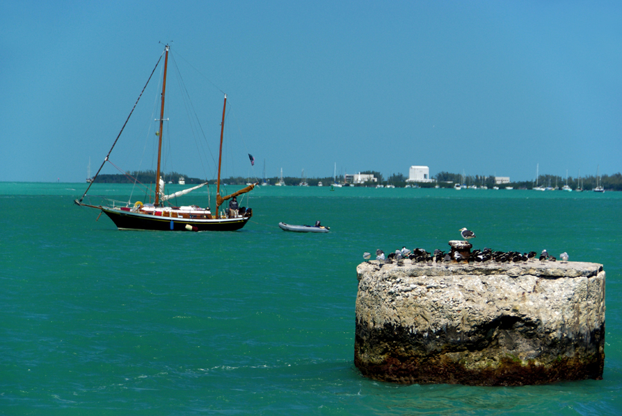 USA Florida-Reihe: Key West View