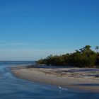 USA Florida-Reihe: Sanibal Island