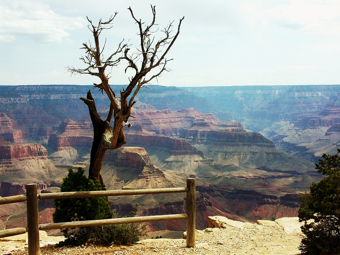 USA Grand Canyon 02