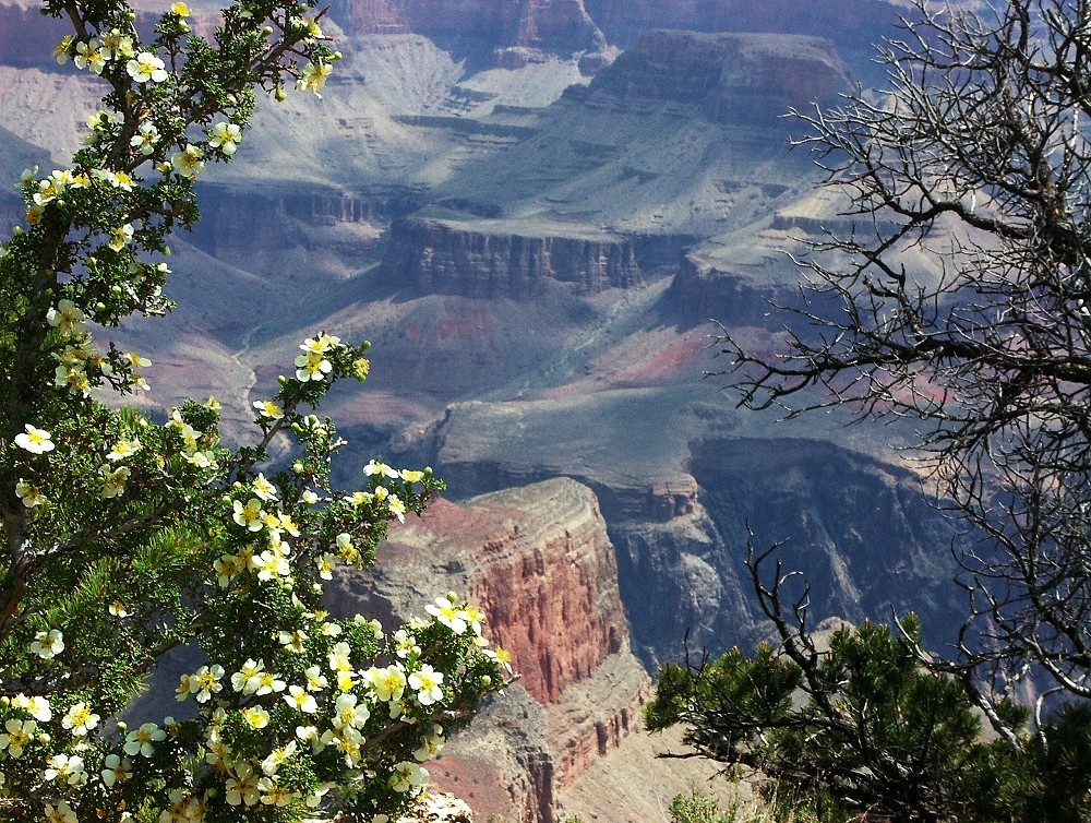 USA Grand Canyon 03