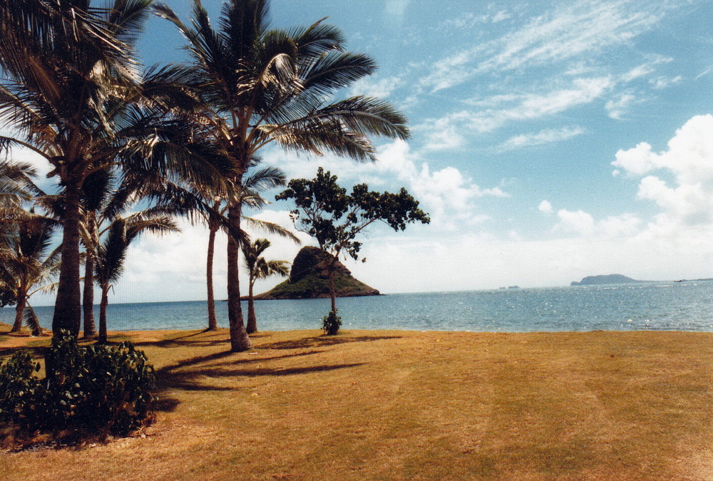 USA-Hawaii-Oahu