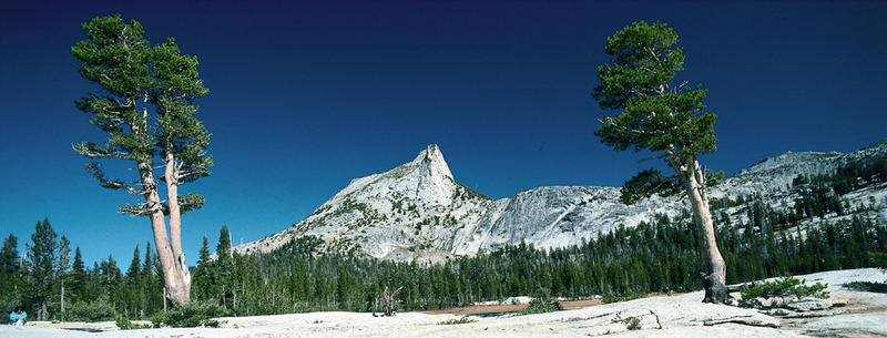 USA  Kalifornien  Yosemite NP      Wanderung zum Cathedral Lake 2