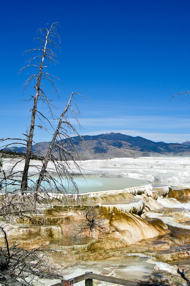 USA - Mammoth Springs