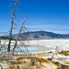 USA - Mammoth Springs