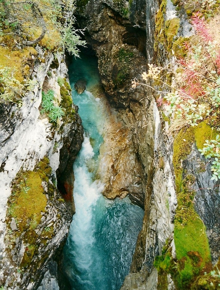 USA - Montana - Glacier National Park