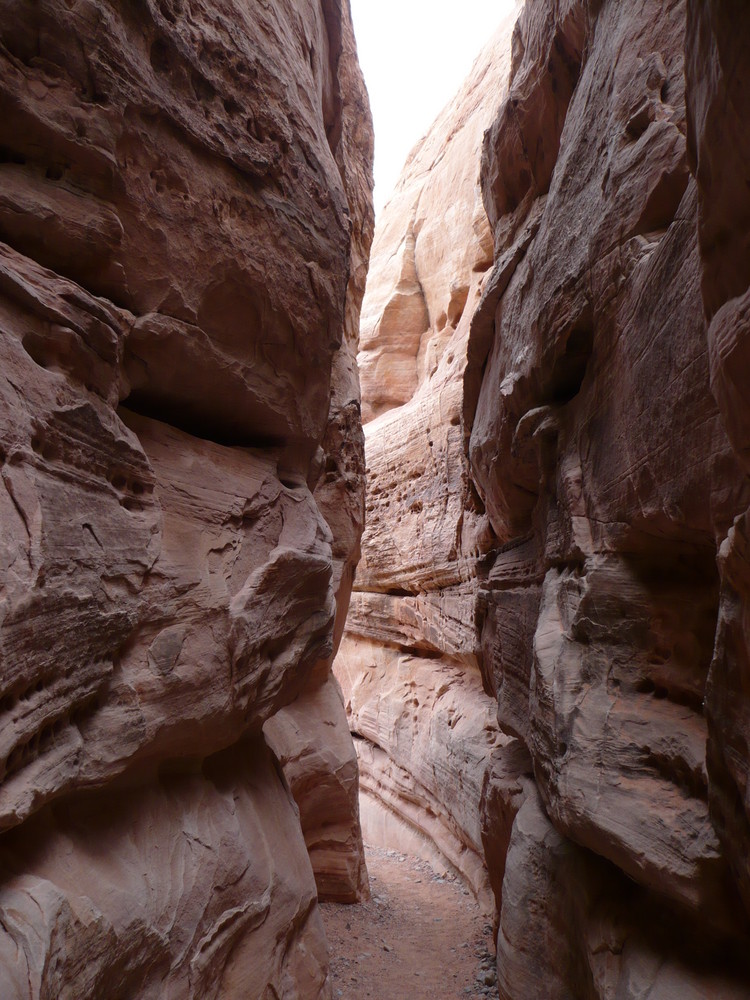 USA, Nevada: Valley of Fire N.P.