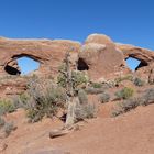 USA-Reise 2018 - Arches NP(1) - North and South Windows