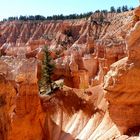 USA-Reise 2018  -  Bryce Canyon (1)