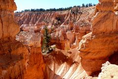 USA-Reise 2018  -  Bryce Canyon (1)