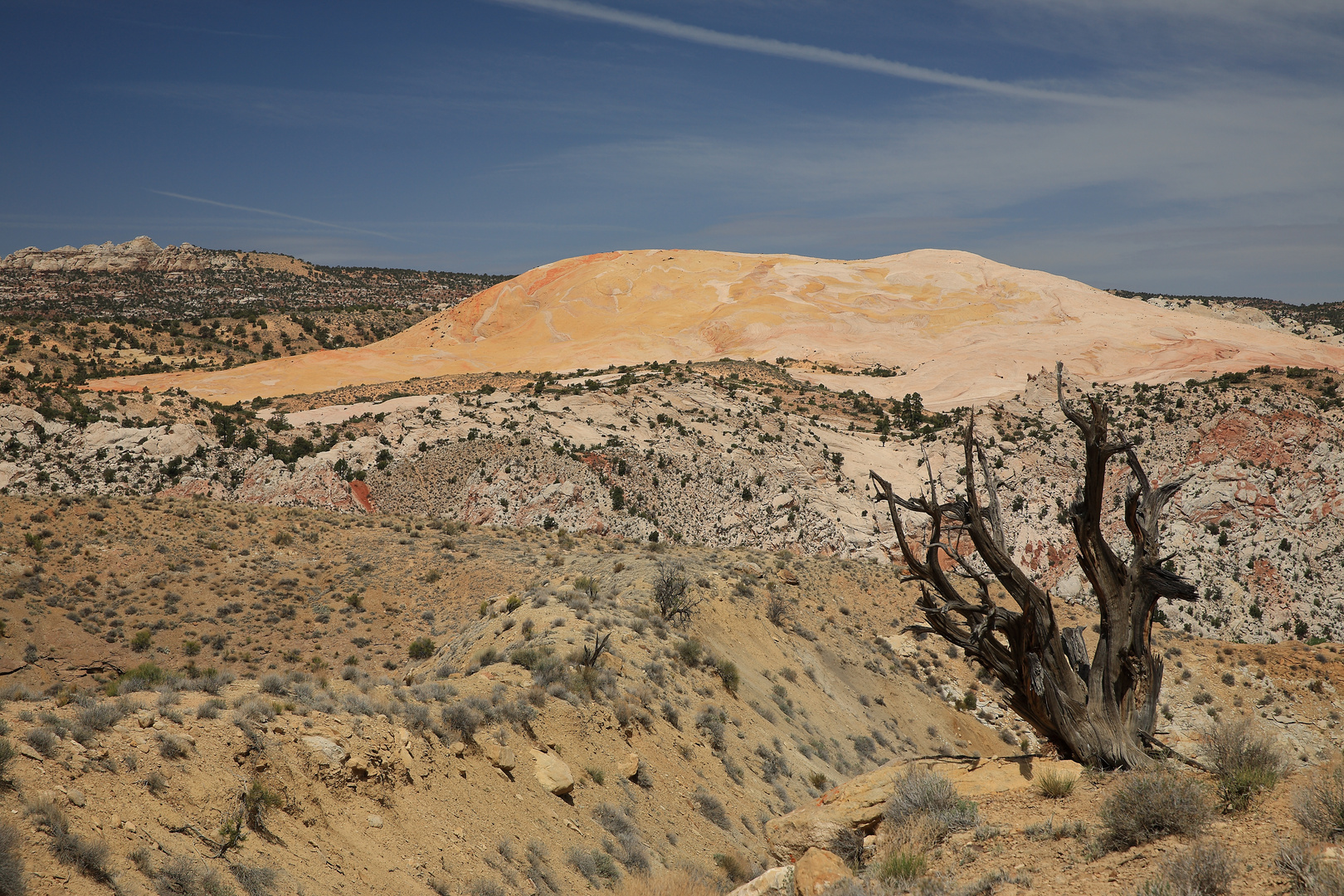 USA S-W2018  Yellow Rock von der  Brigham Plains Road