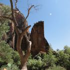 USA Southwest-Reihe: Zion National Park