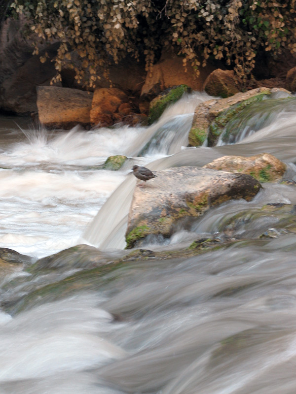 USA Southwest-Reihe: Zion National Park