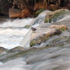 USA Southwest-Reihe: Zion National Park