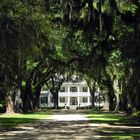 USA-Südstaaten: Natchez-Mississippi, "Rosedown-Plantation", Herrenhäuser