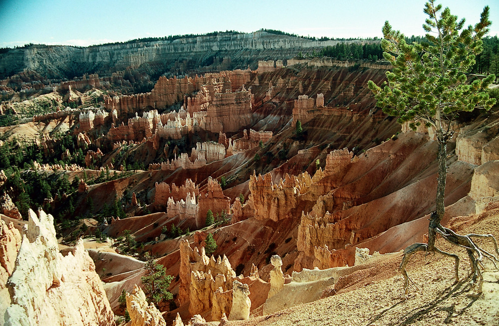 USA Utah Bryce Canyon-3