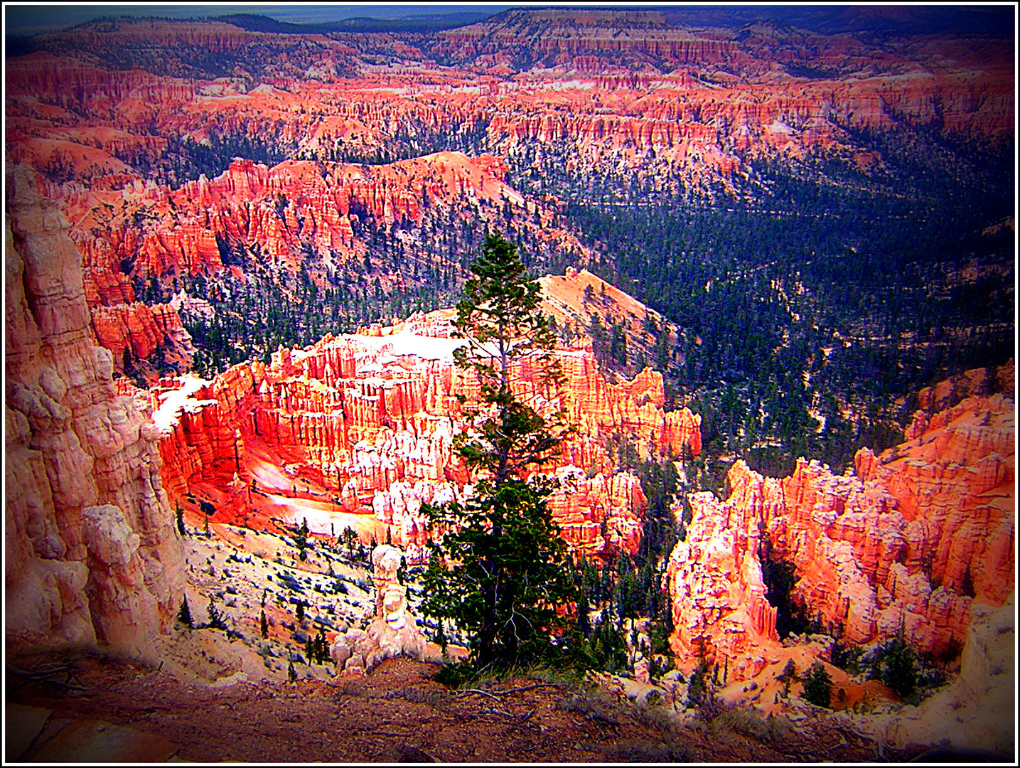 USA - Utah - Bryce Canyon