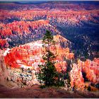 USA - Utah - Bryce Canyon