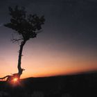 USA-Utah-Bryce Canyon