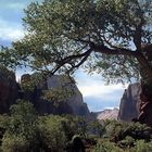 USA-Utah-Zion Nationalpark