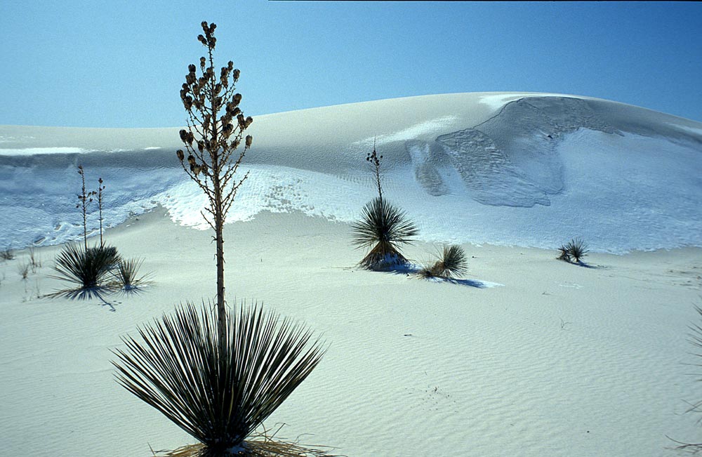 USA White Sands im Schnee