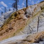 USA - Wyoming - Yellowstone Ntl Park - Mammoth Hot Spring