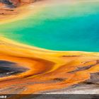 USA, Yellowstone NP, Grand Prismatic Spring