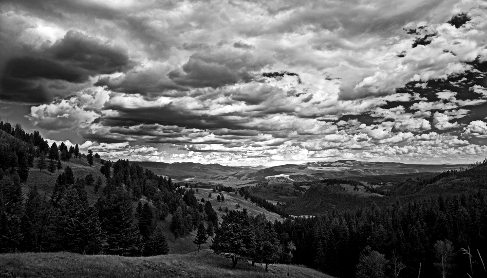 USA, Yellowstone, östlicher Teil