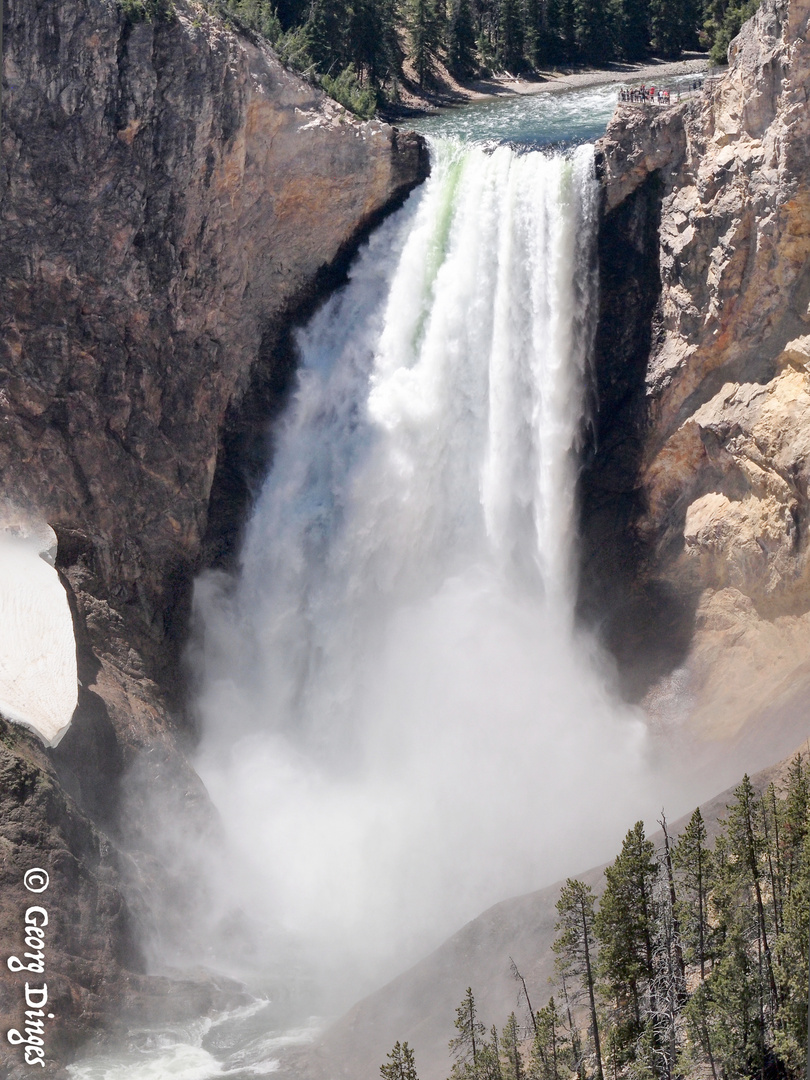 USA YNP Yellowstone lower fall 2014