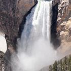 USA YNP Yellowstone lower fall 2014