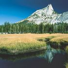 USA   Yosemite NP    Wanderung zum Cathedral Lake  Spiegelung