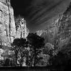 USA, Zion National Park