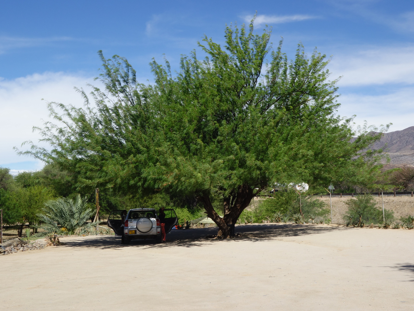 Usakus:Parkplatz unter dem grossen Baum